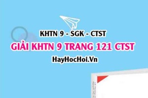 Giải KHTN 9 trang 121 Chân trời sáng tạo SGK